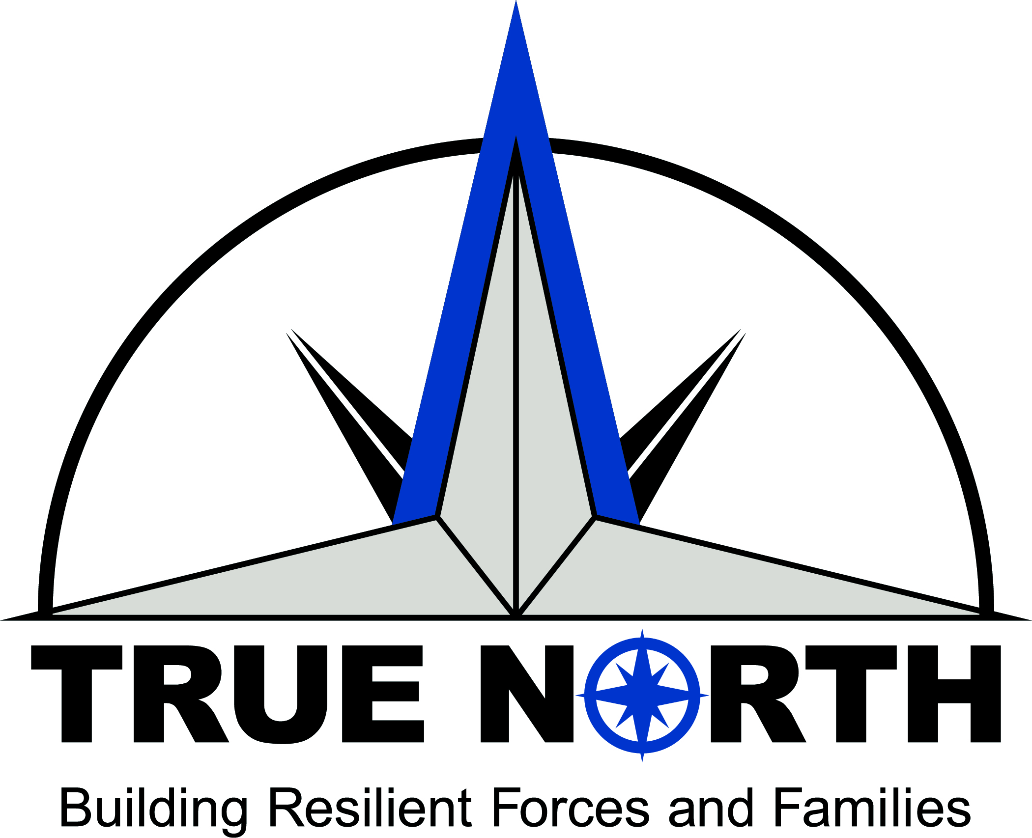 True North logo - half star in half circle